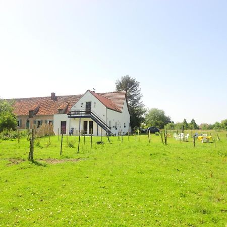 Ferme Lenfant Rez Lägenhet Ville-Pommeroeul Exteriör bild