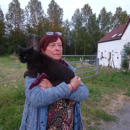 Ferme Lenfant Rez Lägenhet Ville-Pommeroeul Exteriör bild
