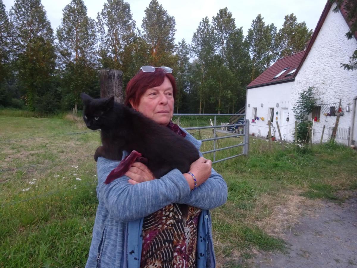 Ferme Lenfant Rez Lägenhet Ville-Pommeroeul Exteriör bild